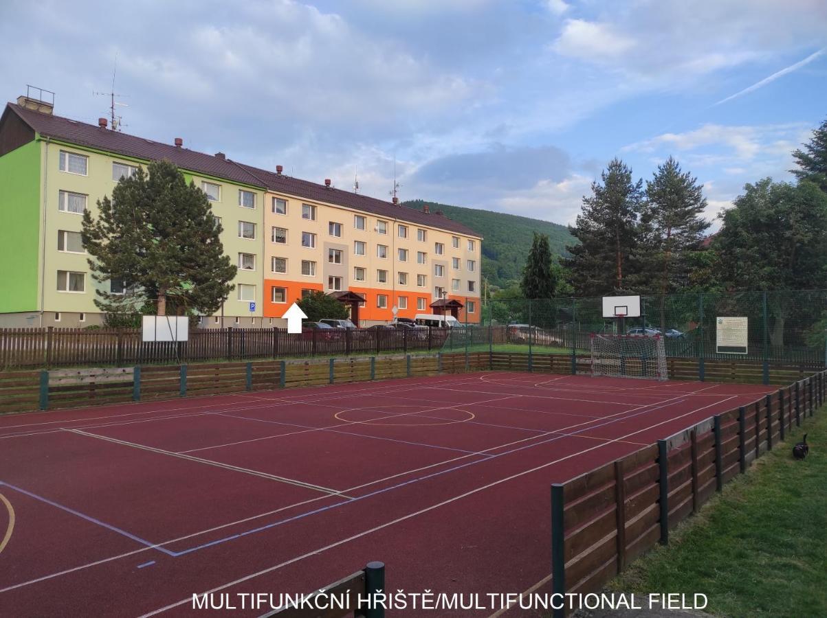 Apartament Dobre Misto Loučná nad Desnou Zewnętrze zdjęcie