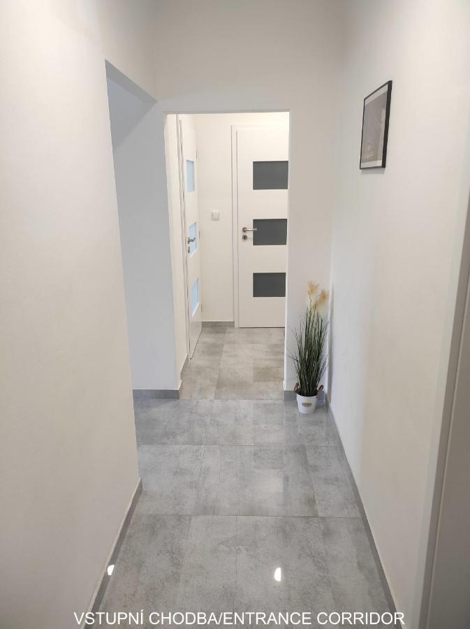 Apartament Dobre Misto Loučná nad Desnou Zewnętrze zdjęcie